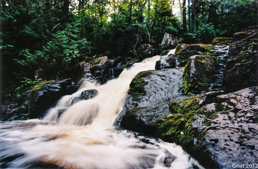 gnat_2012_film_august_ektar1