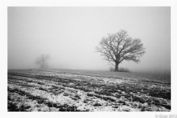 Gnat_Bessa_R4A_FebFilm_6