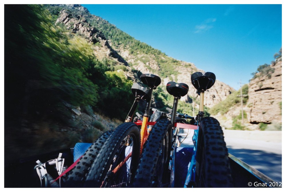 gnat_July2012_Ektar100-8