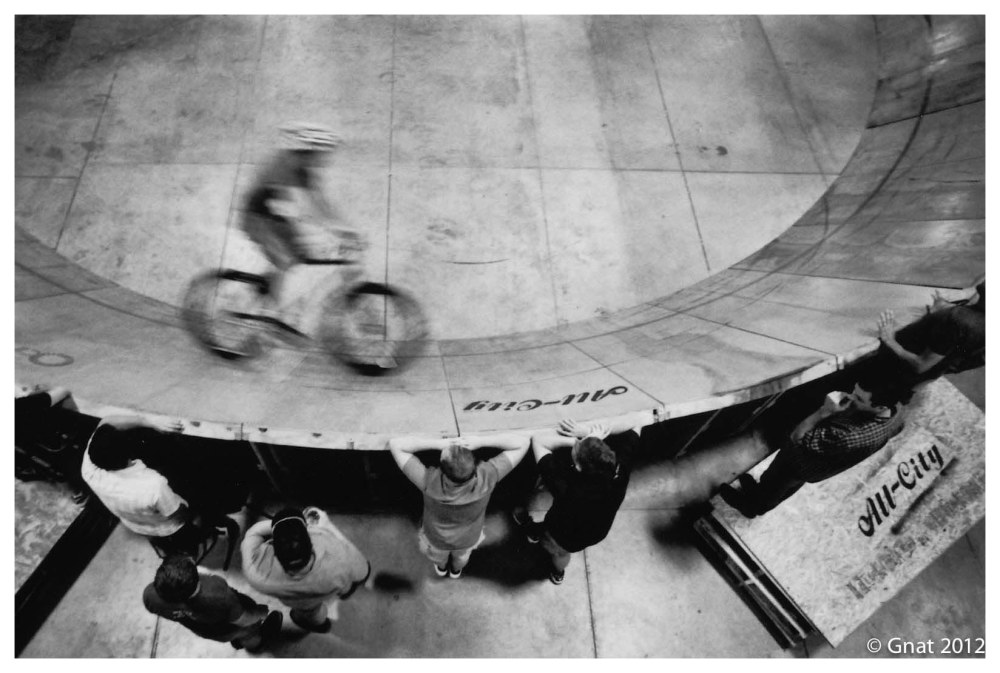 Gnat_July2012Film_Circulus-5