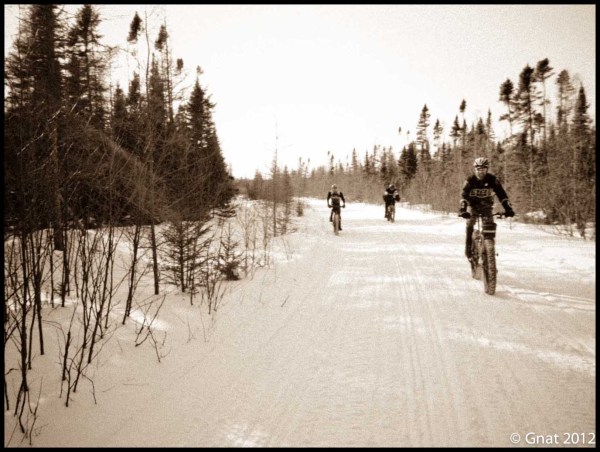 Gnat_MuklukADV_EBM_030912