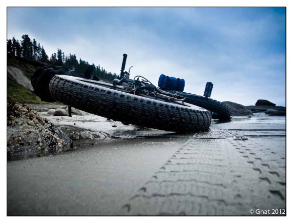 Fat isn't just for winter