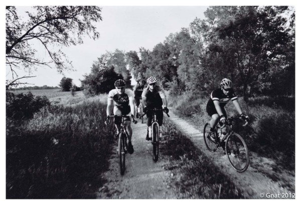 Gnat_JuneFilminmotion_071012-2