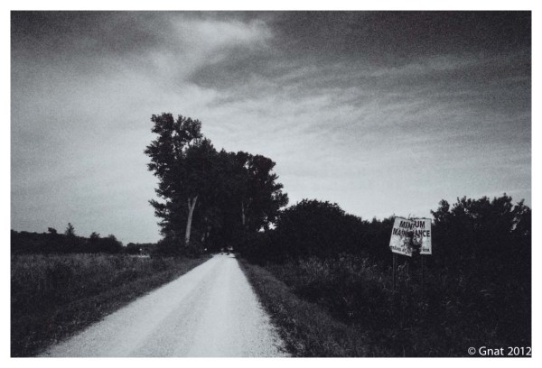 Gnat_JuneFilminmotion_071012-7