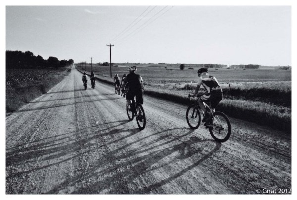 Gnat_JuneFilminmotion_071012