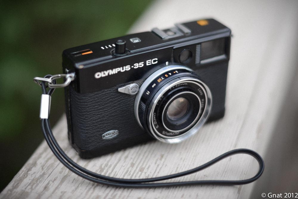 Gnat_2012FilmProject_September_Olympus35EC