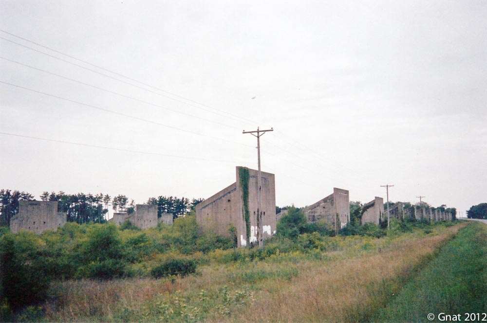 Gnat_2012FilmProject_September_Portra400-3