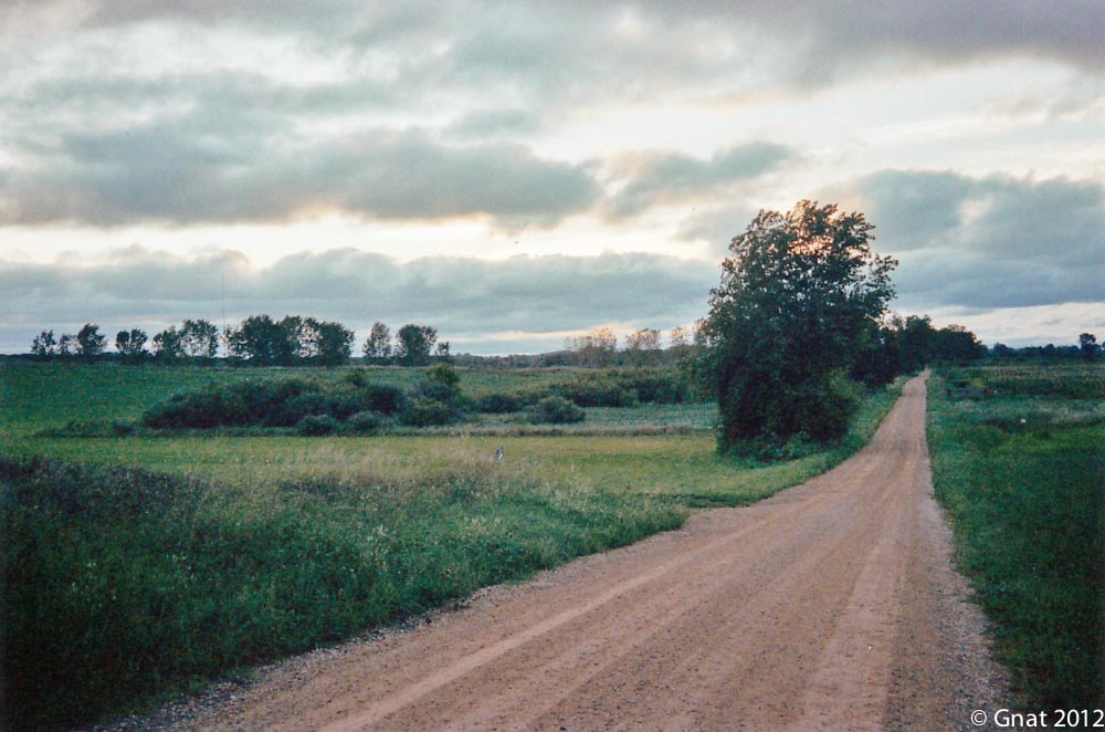Gnat_2012FilmProject_September_Portra400-5