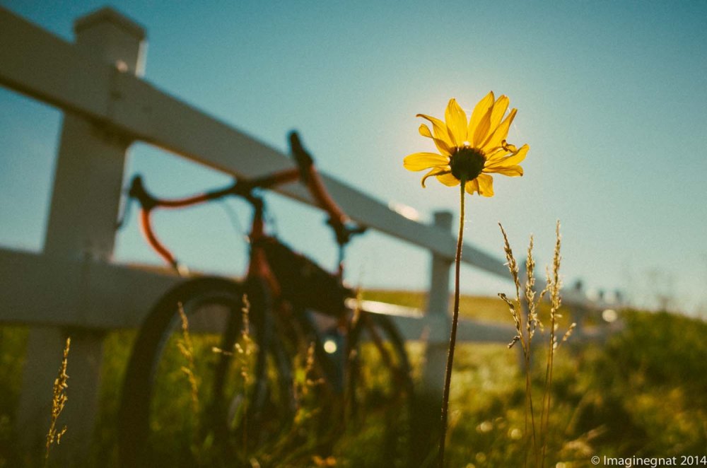 Riding, taking pictures, writing and sharing makes me happy
