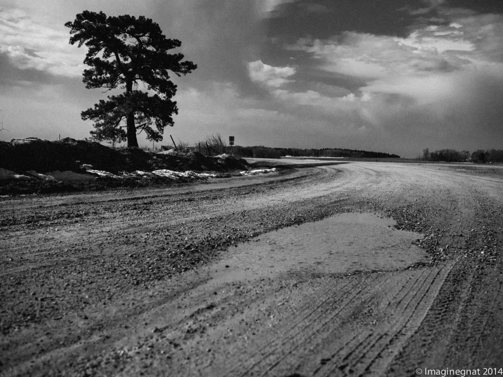 GNAT_Adayinthecountry_040614-5