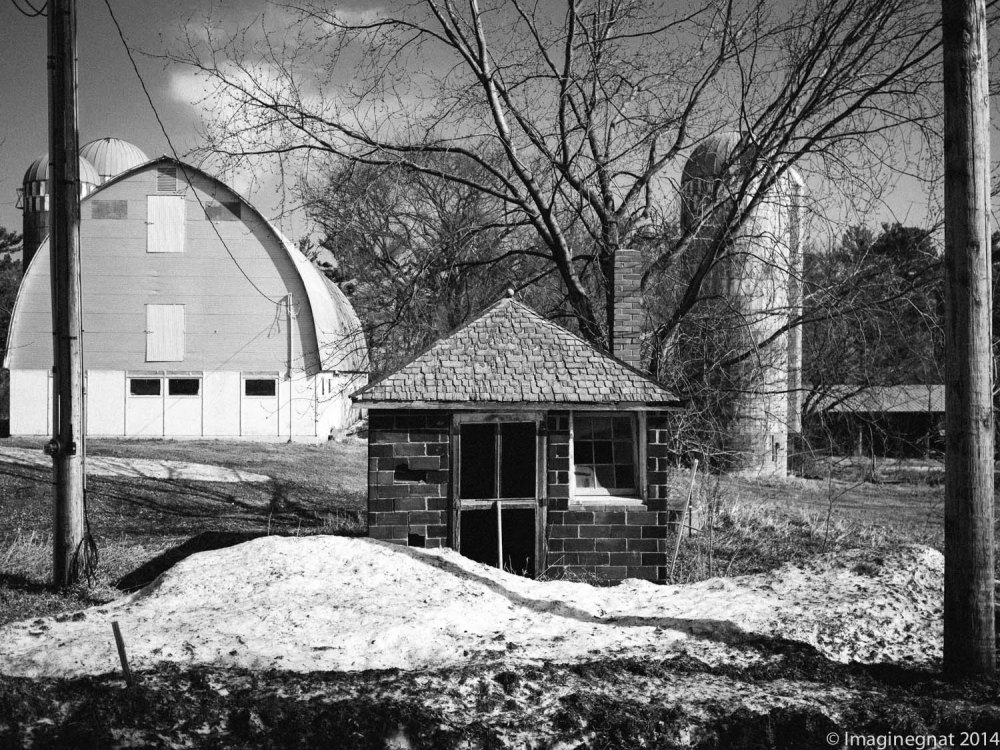 GNAT_Adayinthecountry_040614-6