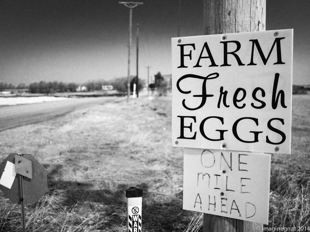 GNAT_Adayinthecountry_040614-8