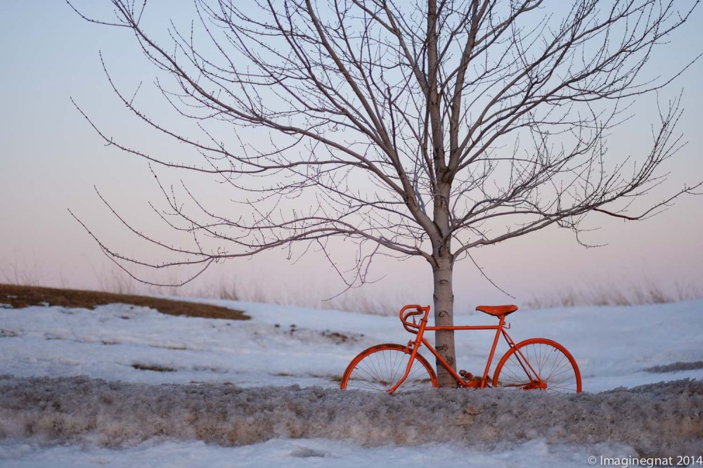 GNAT_IMAGEDUMP_MARCH2013_6