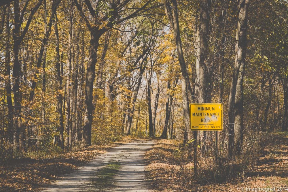 My favorite kind of road