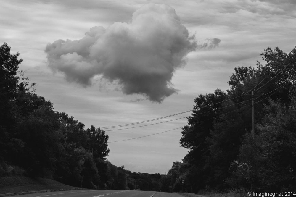 The perfect puzzle piece