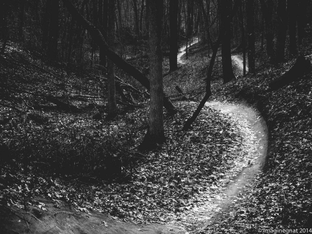 And the path revealed itself