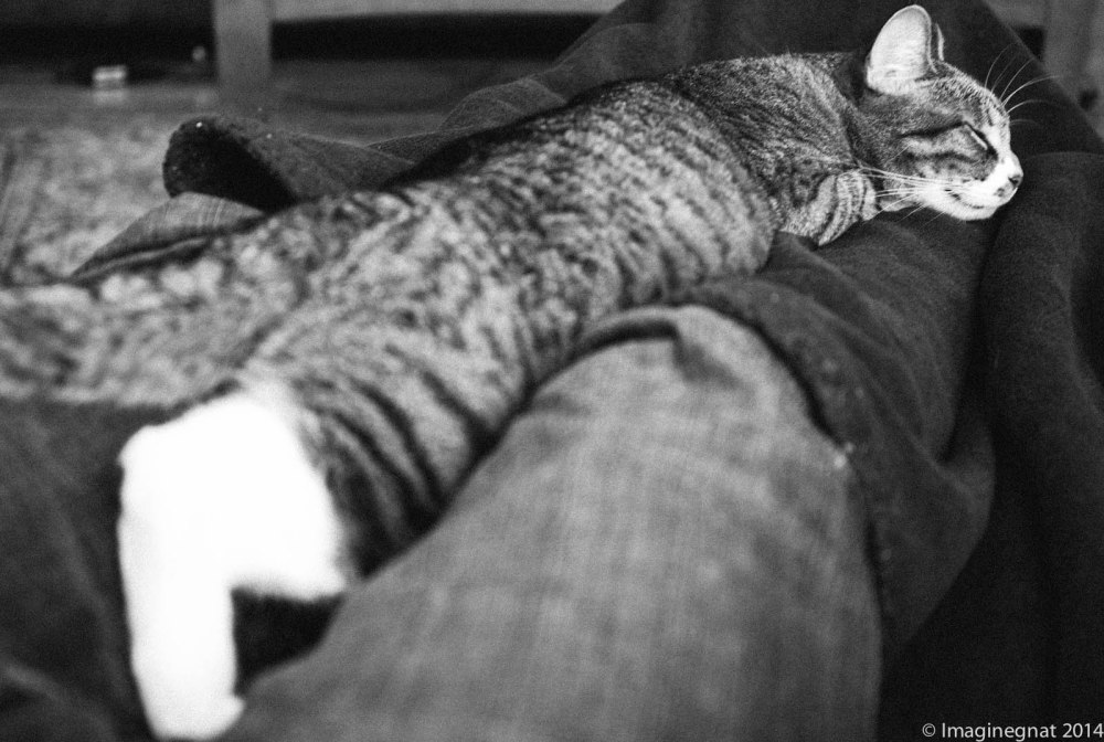 This is what working from home looks like