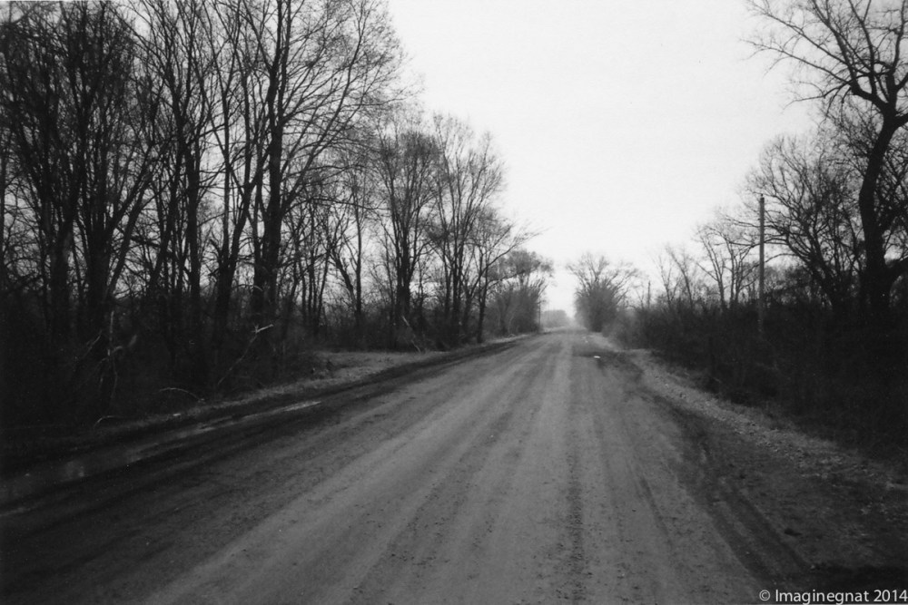 Gnat_YASHICAT4_Delta3200-4