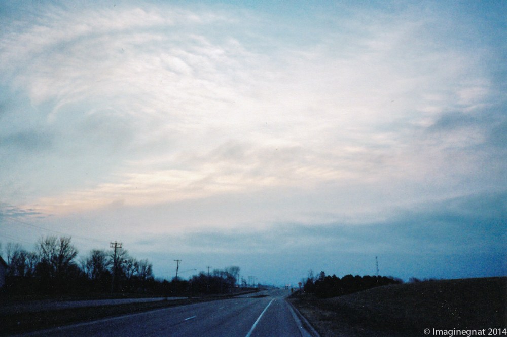 Gnat_YASHICAT4_Portra400