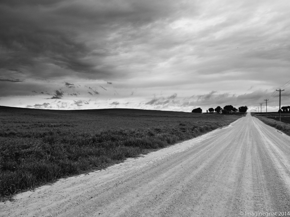 GNAT_CHASINGCLOUDS_060114-3