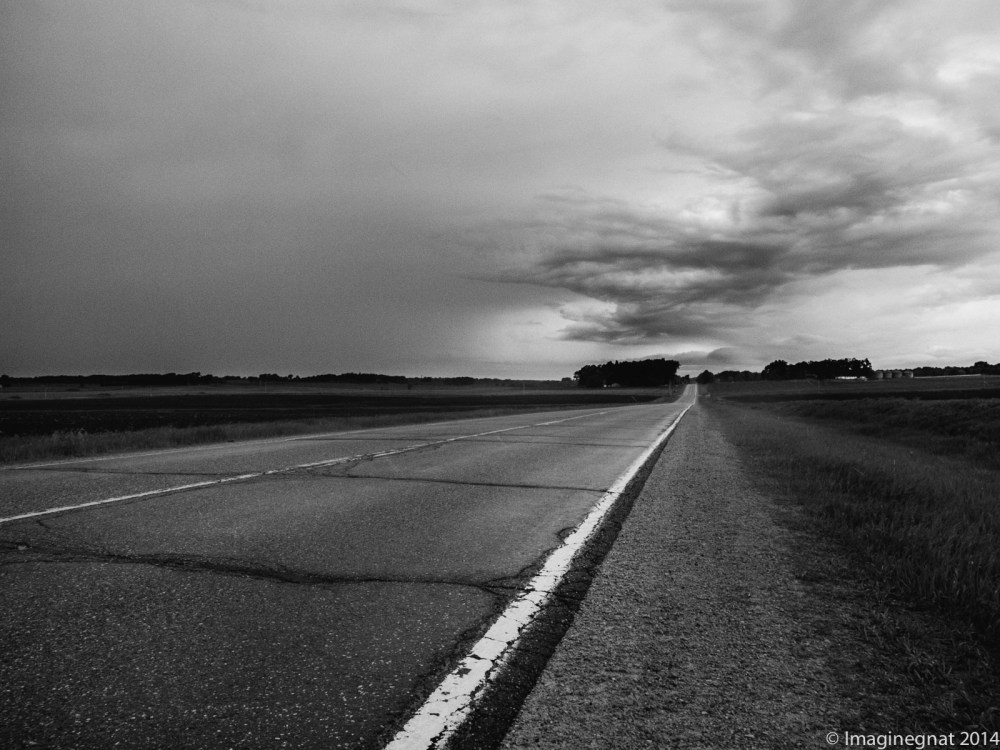 GNAT_CHASINGCLOUDS_060114-6