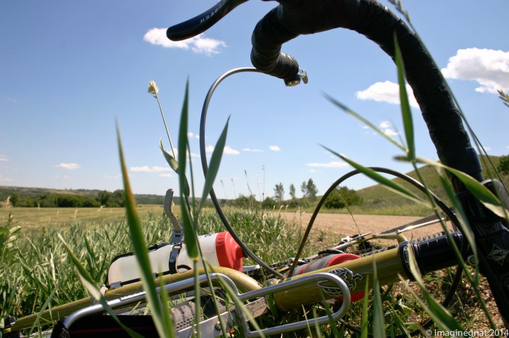 Gnat_Fargo2008_Journey1