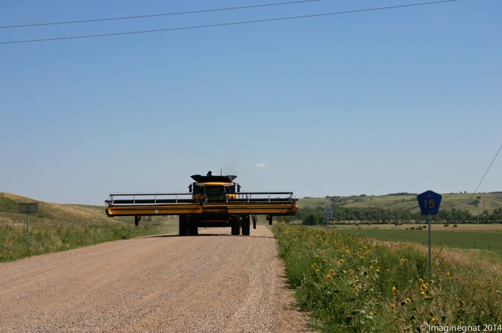 Gnat_Fargo2008_Journey1_3