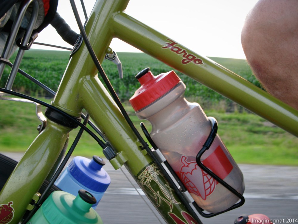 gnat_Fargo_GTDRI_2008