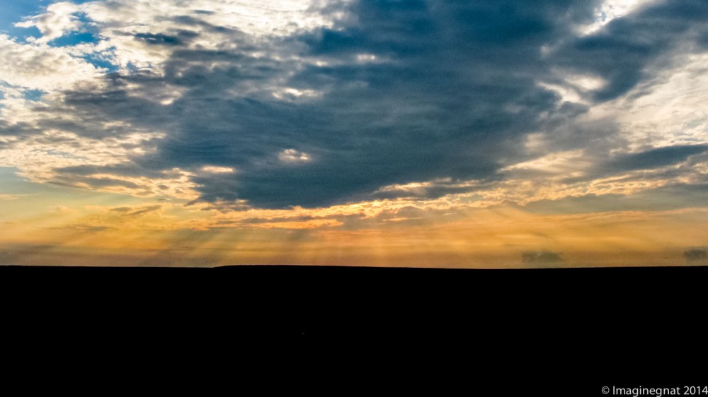 gnat_Fargo_GTDRI_2008_4