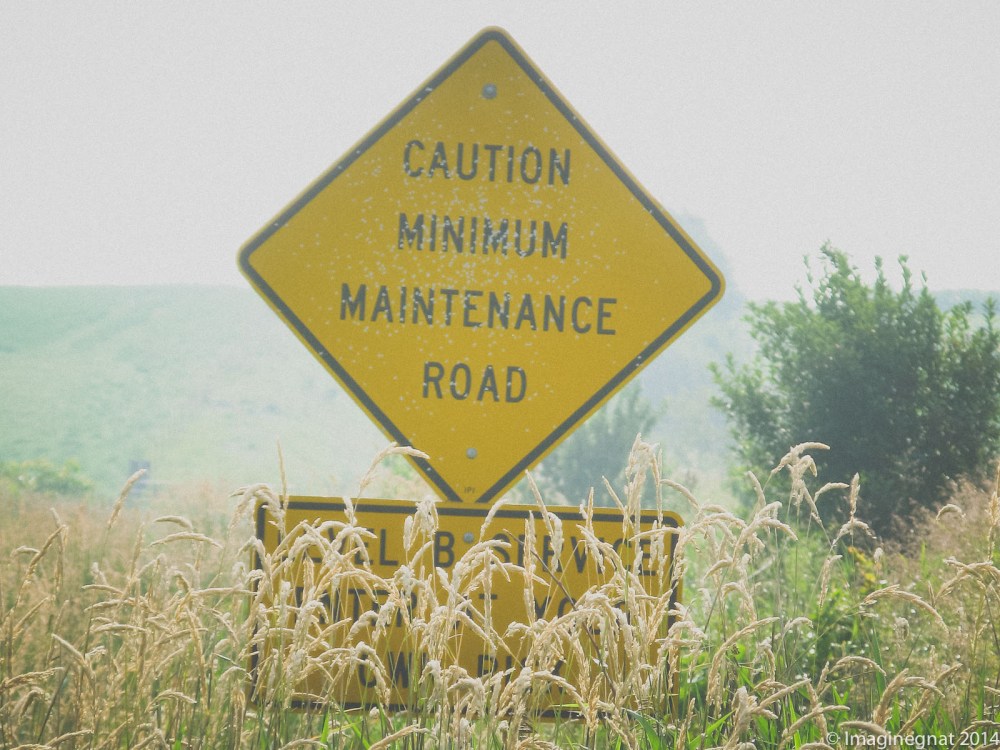 We saw more than one of these. I grew to love them immediately.