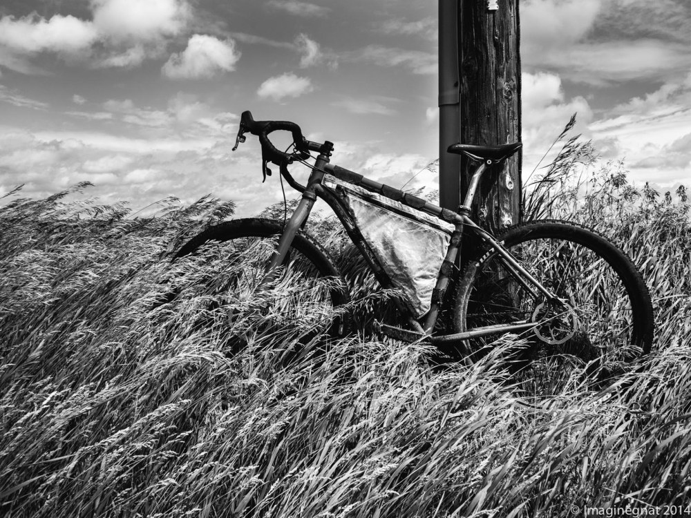 gnat_Fathersdayfargoride_IG1