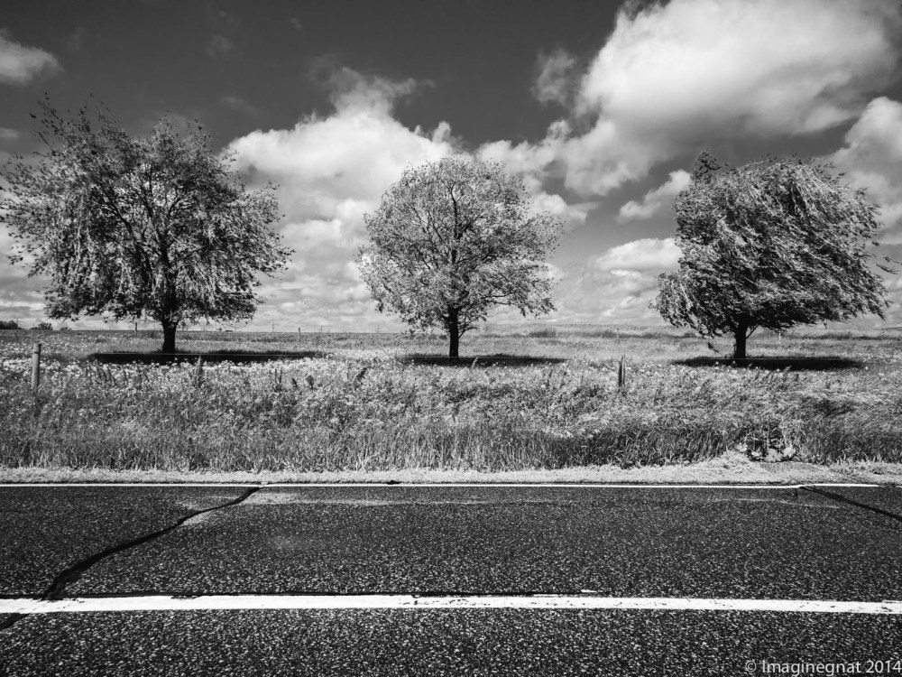 gnat_Fathersdayfargoride_IG3