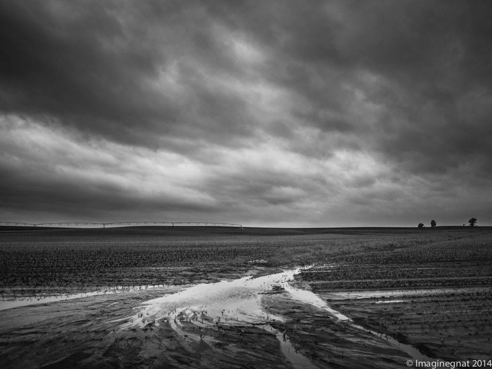 gnat_Fathersdayfargoride_IG8