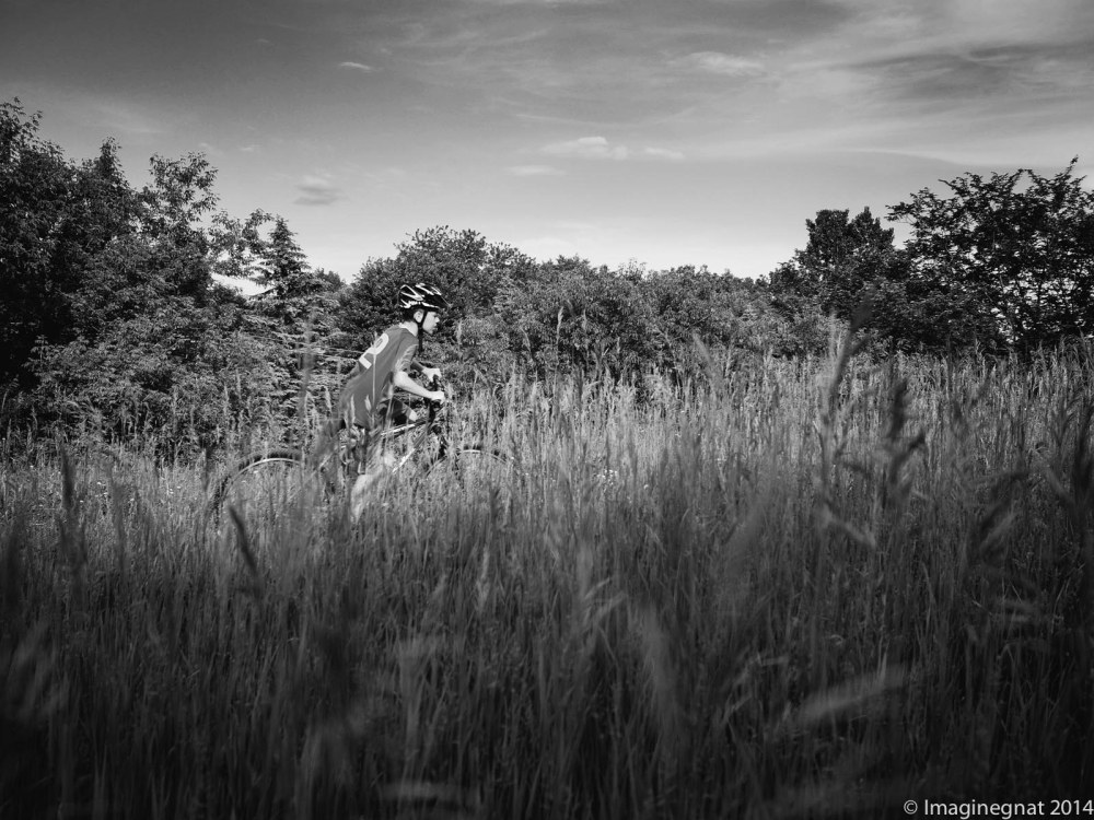 Perfect evening light