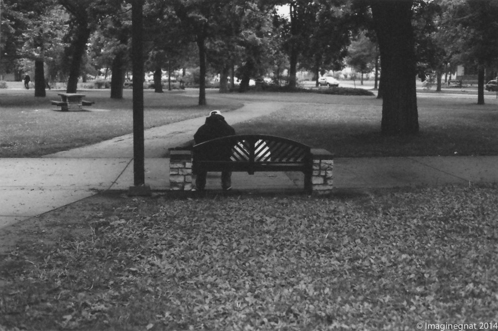 gnat_thefalls_Delta3200_2014-3