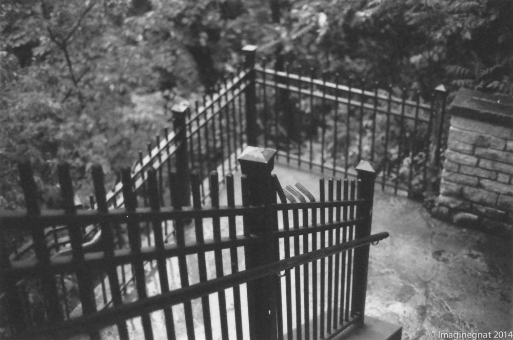 gnat_thefalls_Delta3200_2014-4