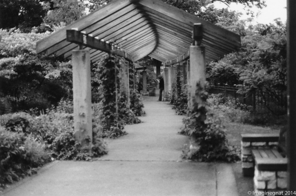 gnat_thefalls_Delta3200_2014-5