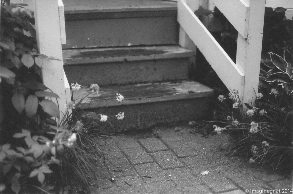 gnat_thefalls_Delta3200_2014