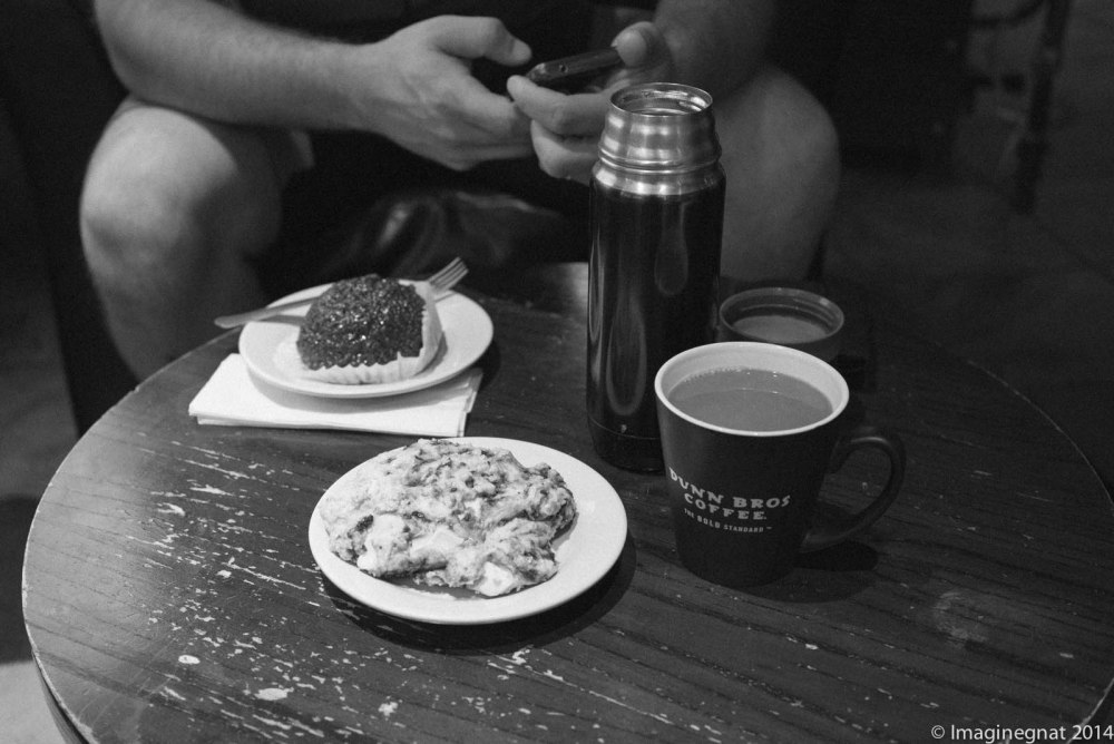 Gnat_AMORNINGINTHECOUNTRY