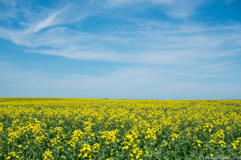 Gnat_ND_SOURISVALLEYRIDE-8