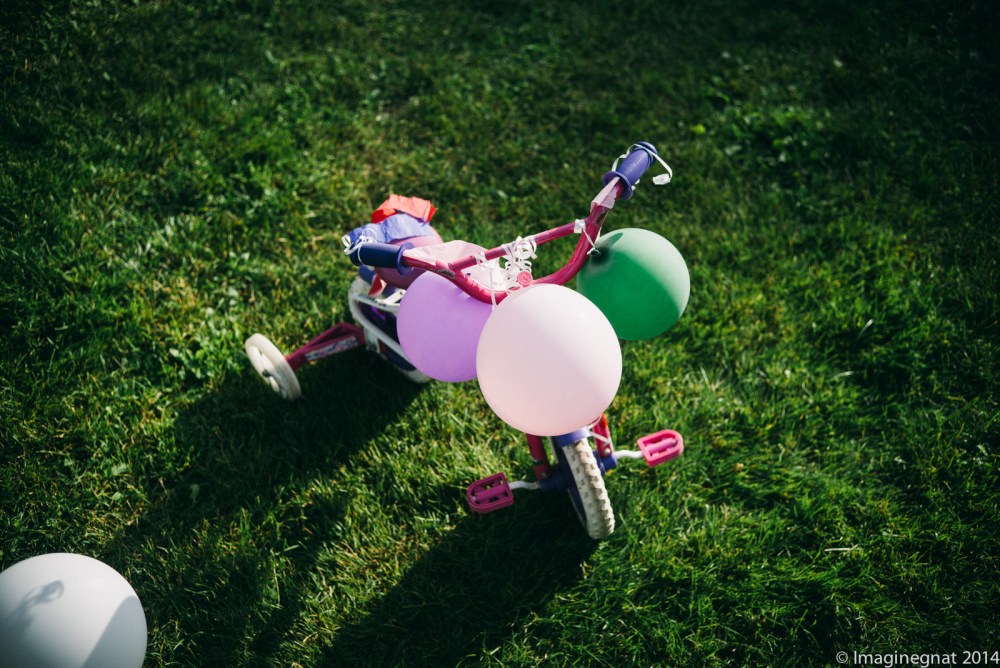 GNAT_Leica_Nathan_Baloon