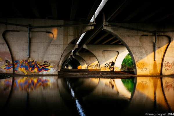 GNAT_Riverramble_080114-5