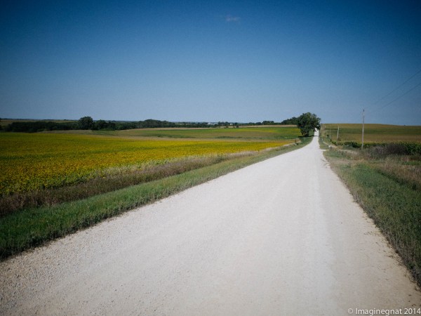 GNAT_CFroute_091714_15