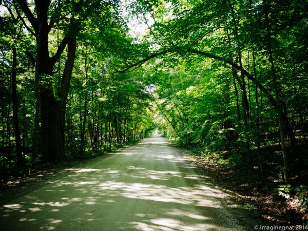 GNAT_CFroute_091714_2