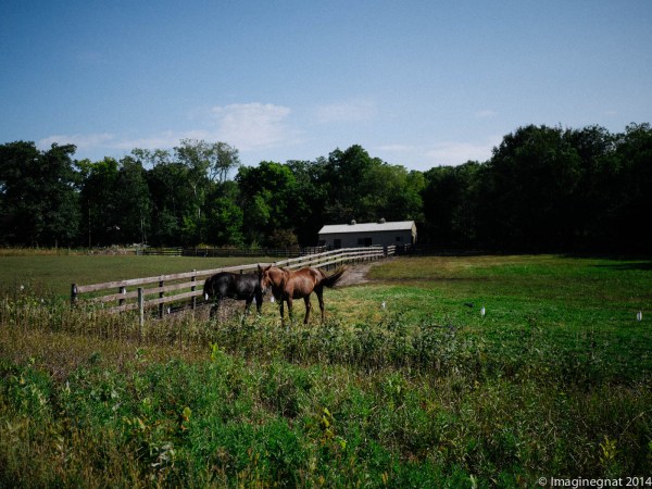 GNAT_CFroute_091714_5