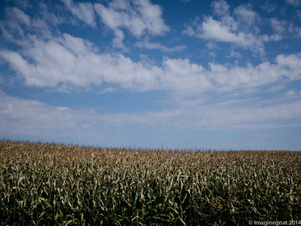 GNAT_CFroute_091714_8