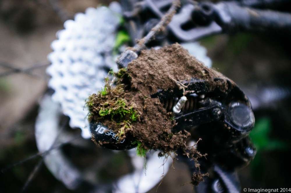 GNAT_fatbikeramblings_3