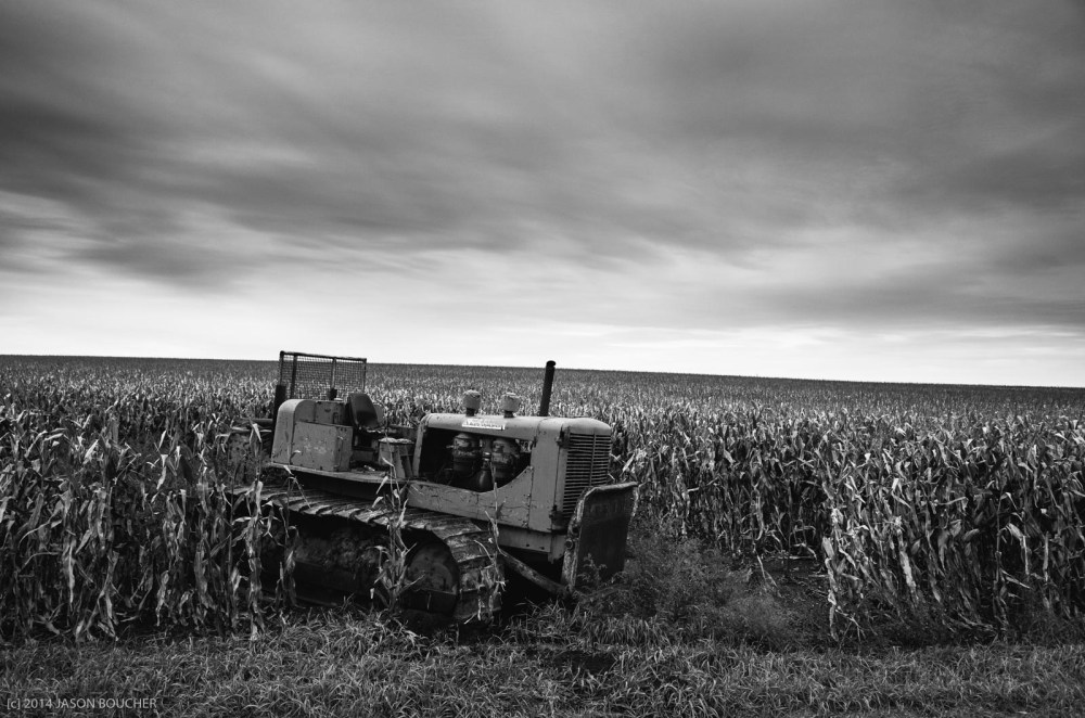 GNAT_cold&lonelymiles-4