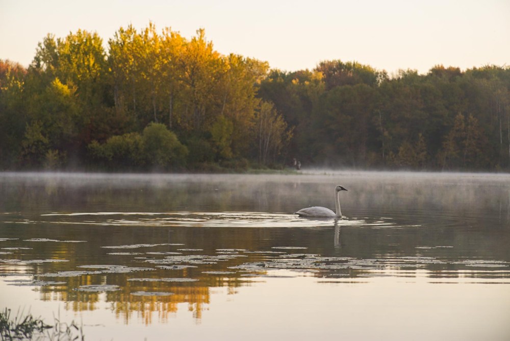 GNAT_Cuyuna_BlessedNotBusy_102714_7