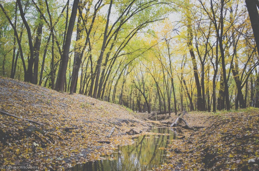 GNAT_Cuyuna_BlessedNotBusy_102714_8